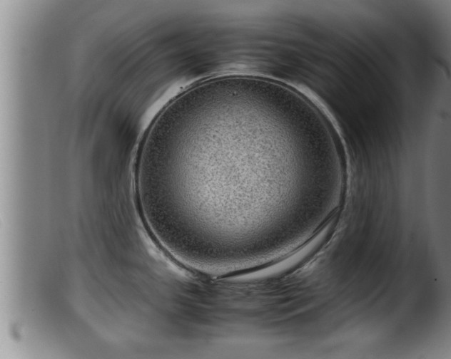 X0000099531341200805231053