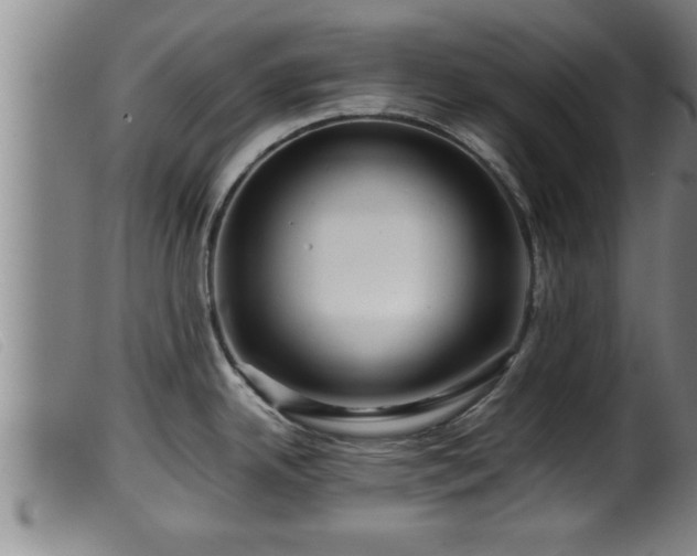 X0000099531342200805231053