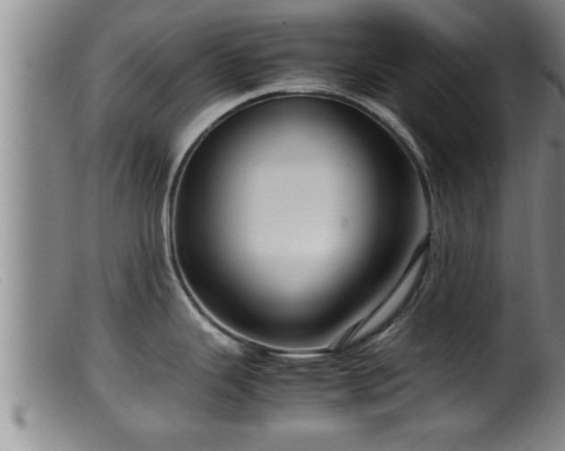 X0000099531343200805231053