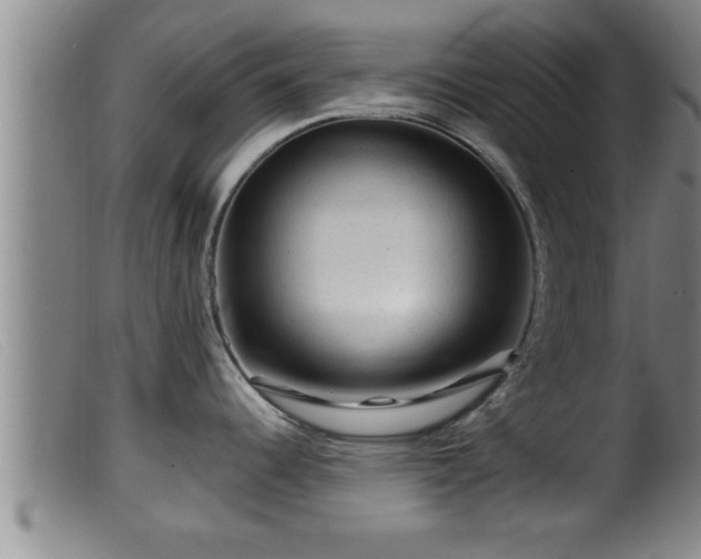 X0000099531344200805231053