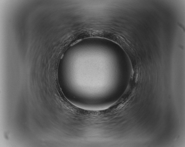 X0000099531345200805231052