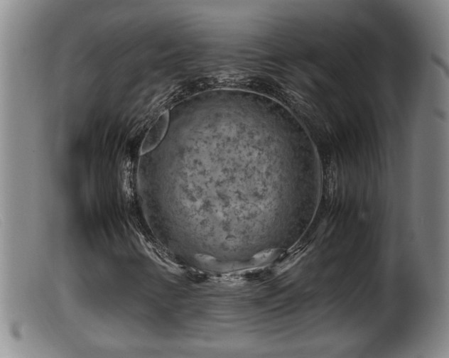 X0000099531346200805231052