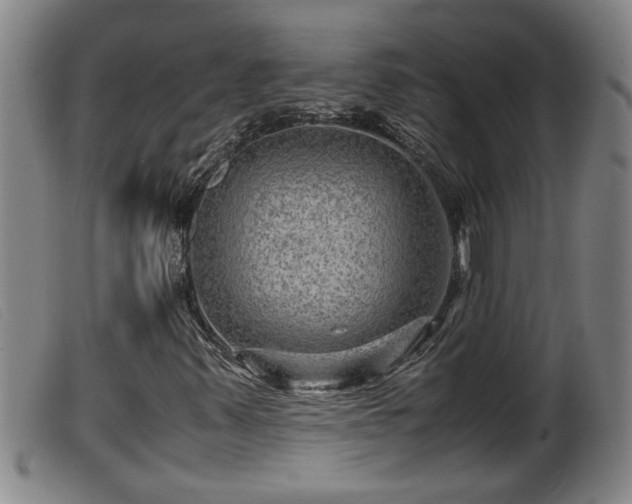 X0000099531347200805231052