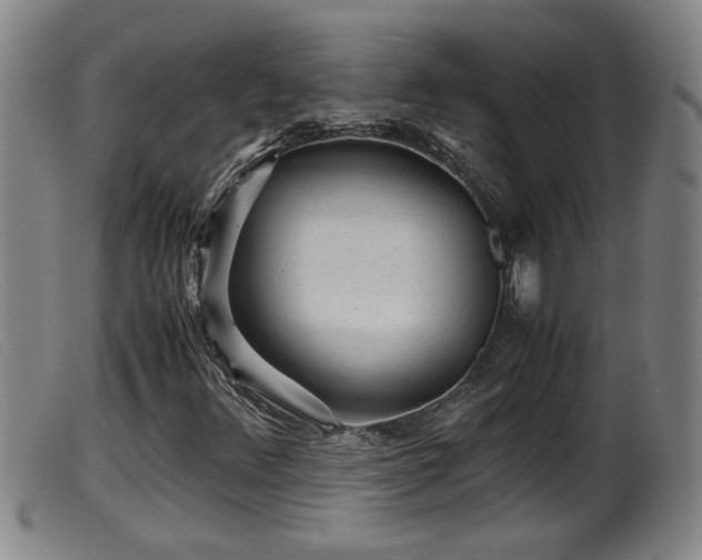 X0000099531348200805231052