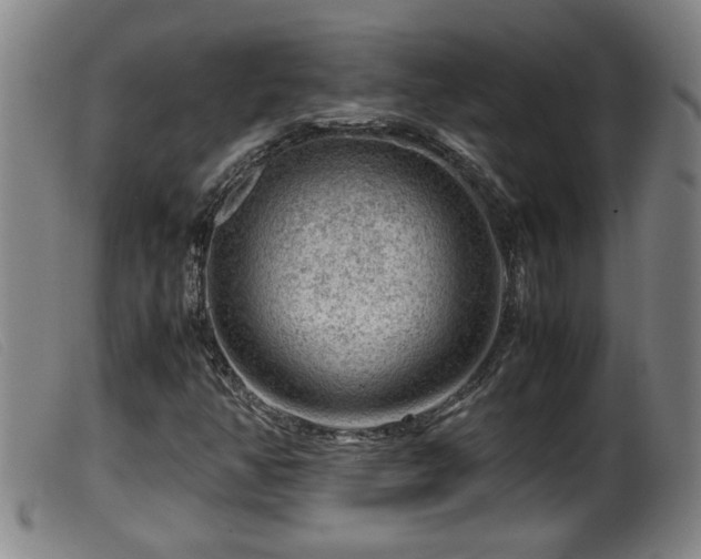 X0000099531350200805231052