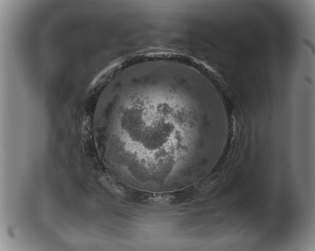 X0000099531351200805231052