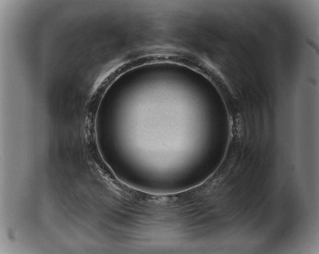 X0000099531352200805231052