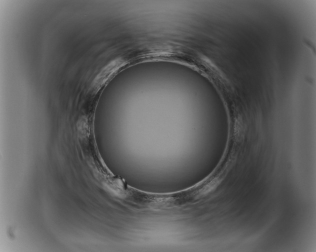 X0000099531353200805231052