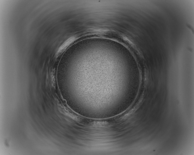 X0000099531354200805231052