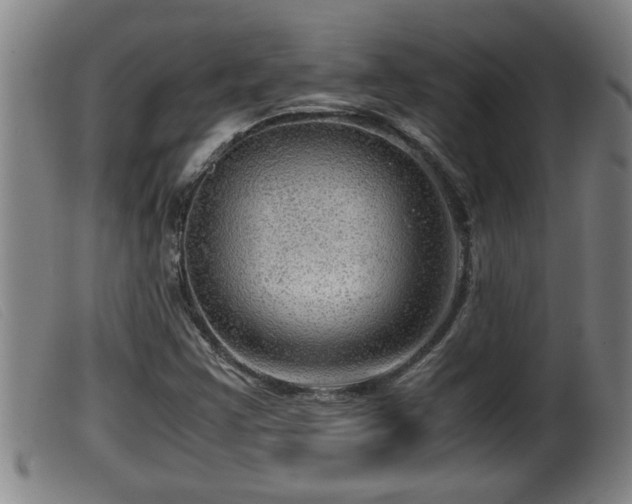 X0000099531355200805231052