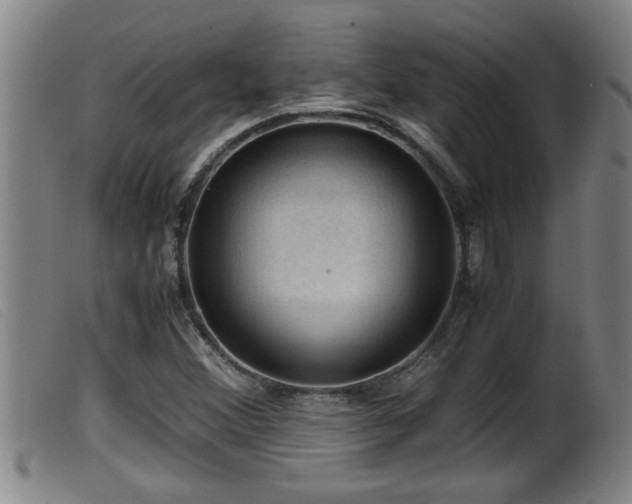 X0000099531356200805231052