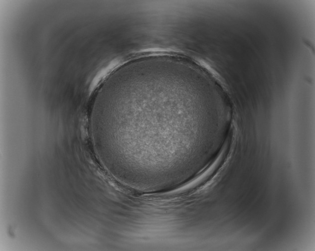 X0000099531357200805231052