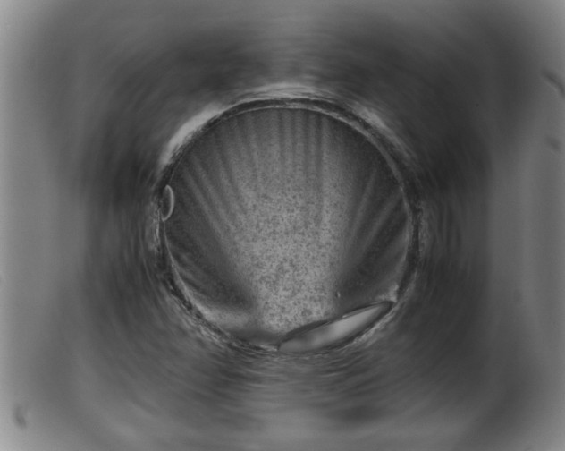 X0000099531358200805231052