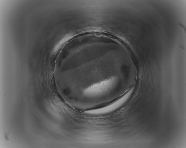 X0000099531359200805231052