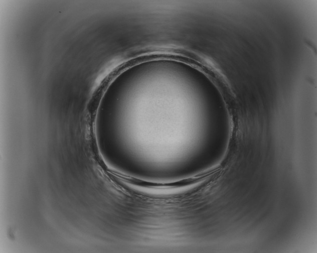 X0000099531360200805231052