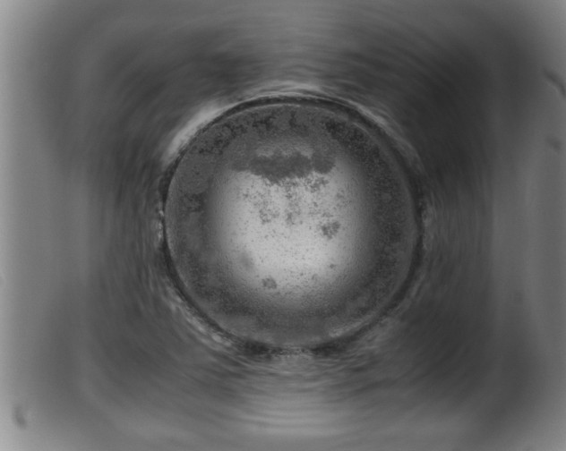 X0000099531363200805231052