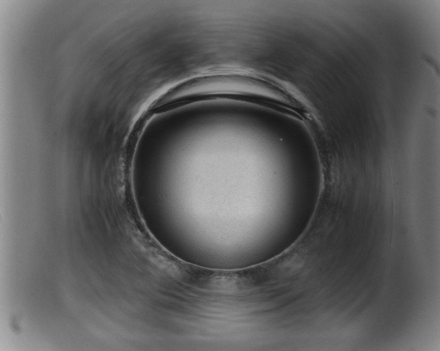 X0000099531364200805231052