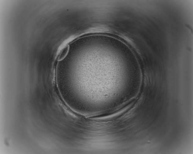 X0000099531366200805231052