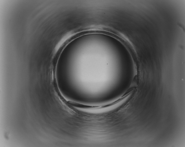 X0000099531368200805231052