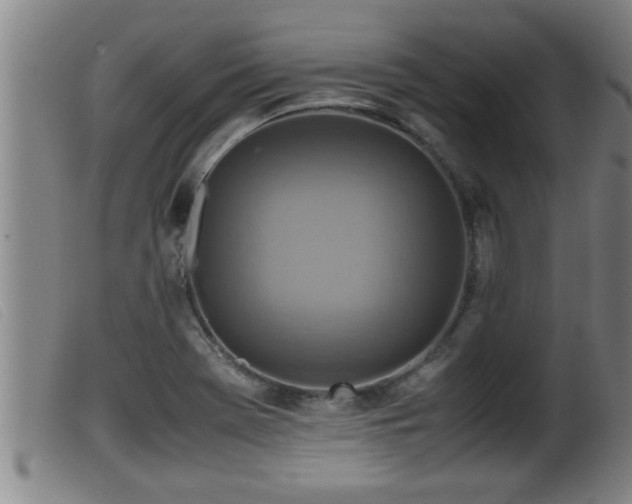 X0000099531369200805231052