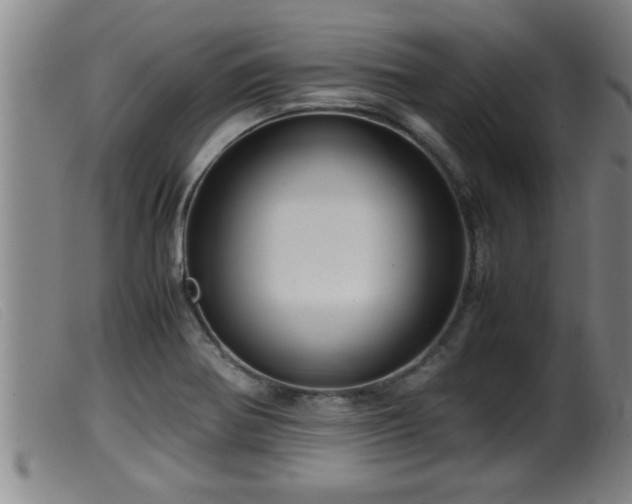 X0000099531370200805231052