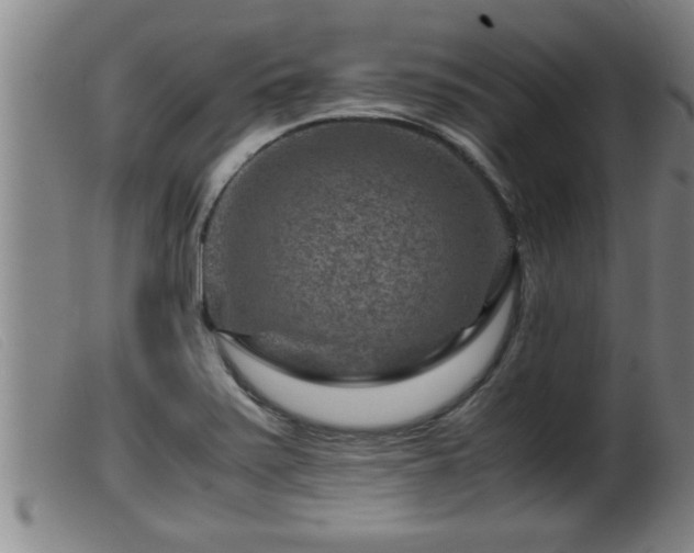 X0000099531371200805231052