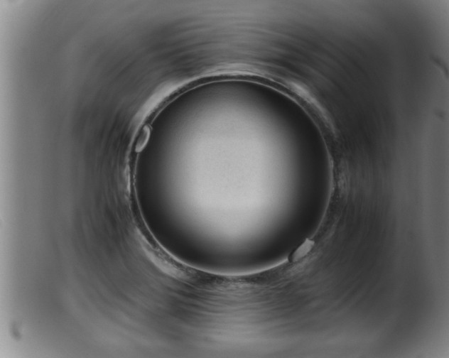 X0000099531372200805231052