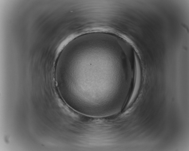 X0000099531373200805231052