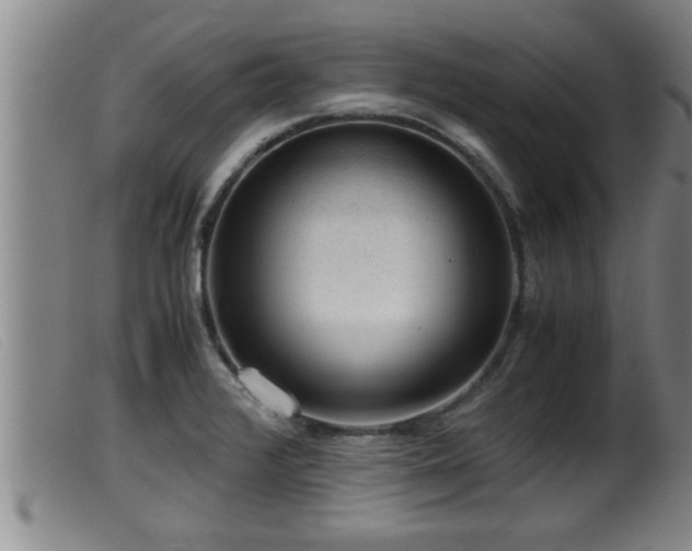 X0000099531376200805231052