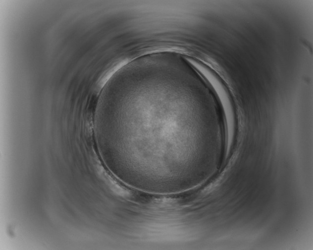 X0000099531377200805231052