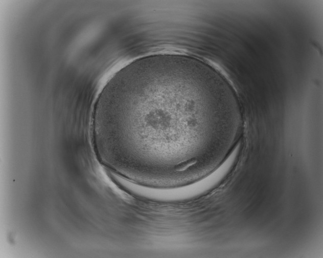 X0000099531379200805231052