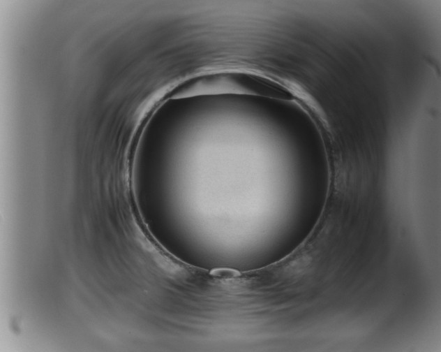 X0000099531380200805231052