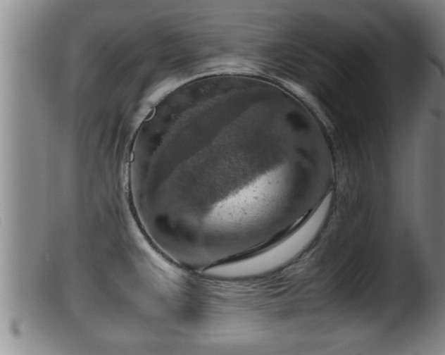 X0000099531383200805231051