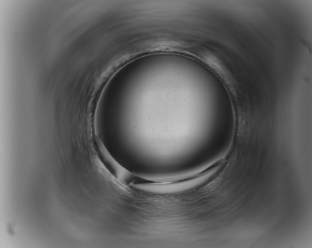 X0000099531384200805231051