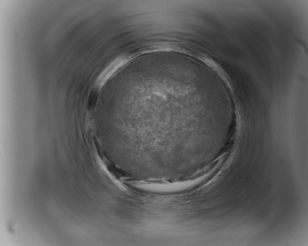 X0000099531385200805231051