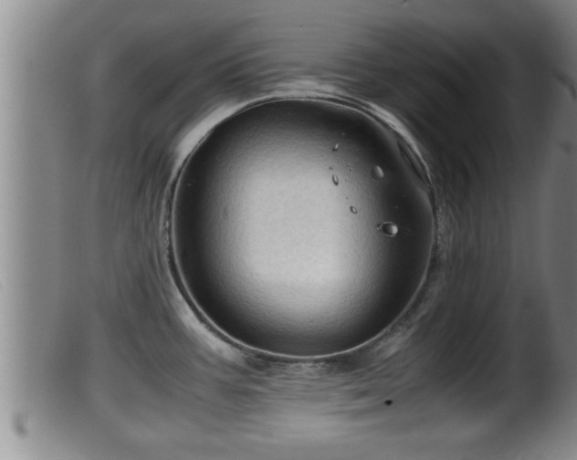X0000099531387200805231051