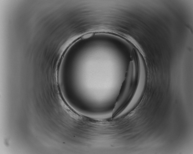 X0000099531388200805231051