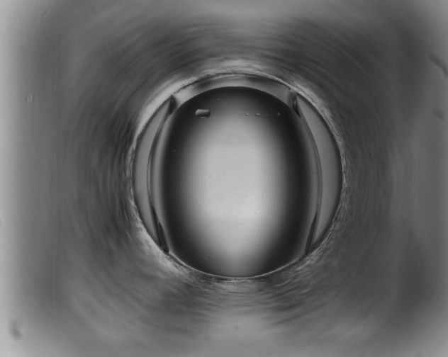 X0000099531392200805231051