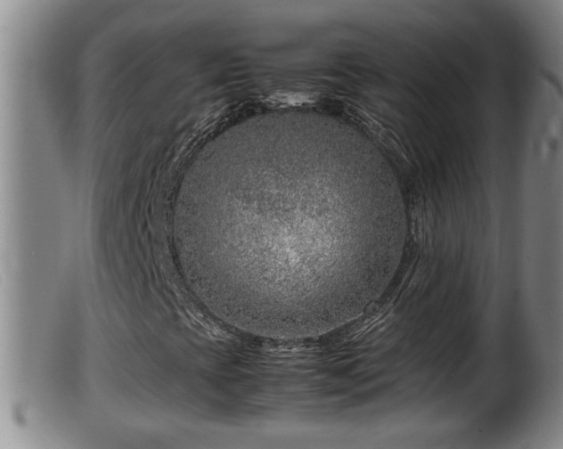 X0000099531393200805231051