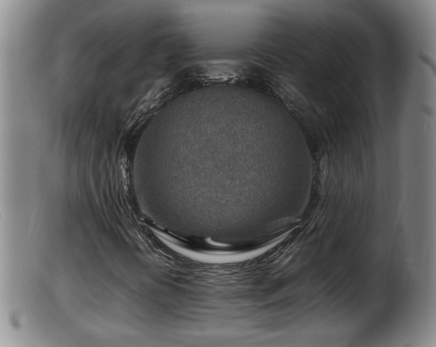 X0000099531394200805231051
