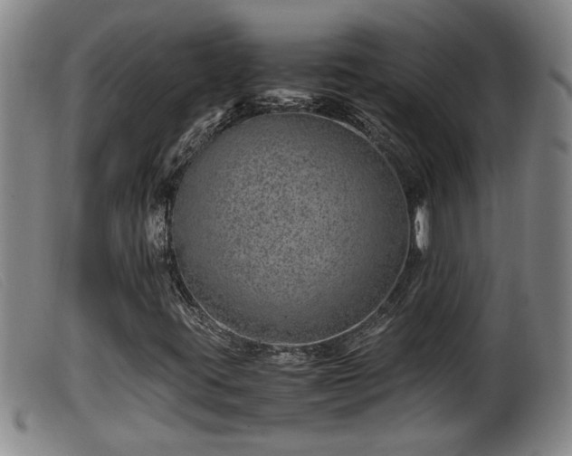 X0000099531395200805231051