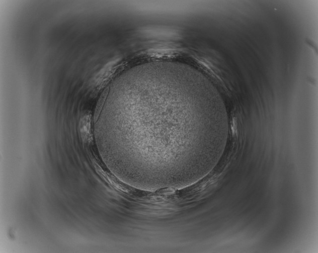 X0000099531396200805231051