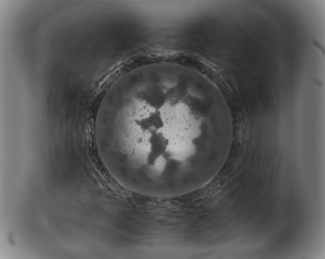 X0000099531397200805231051
