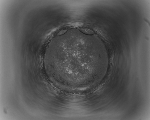 X0000099531398200805231051