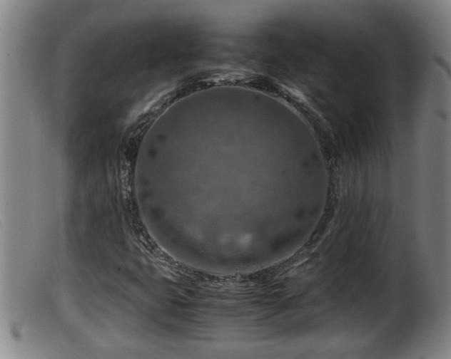 X0000099531399200805231051