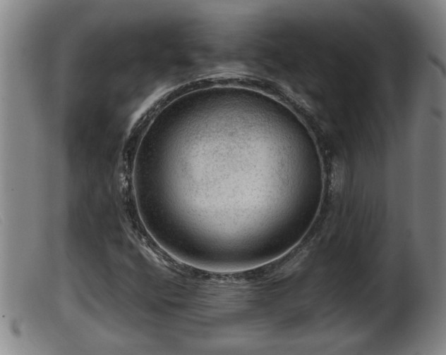 X0000099531400200805231051