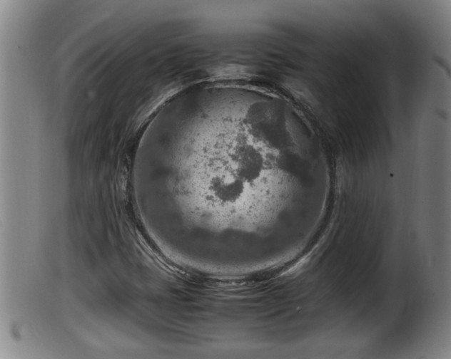 X0000099531401200805231051