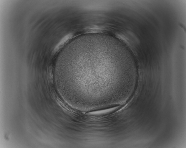 X0000099531403200805231051