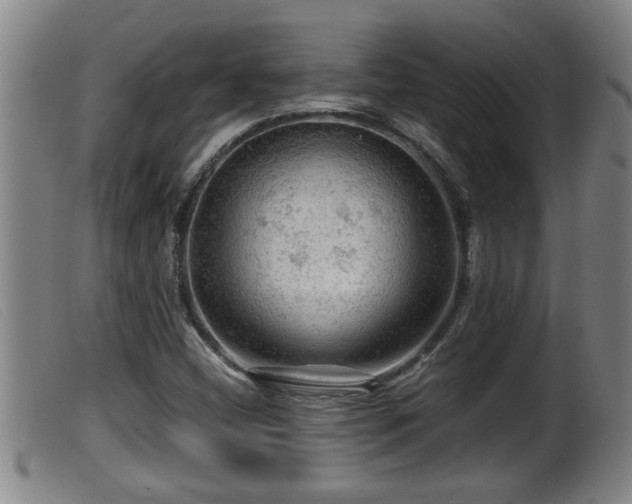 X0000099531404200805231051