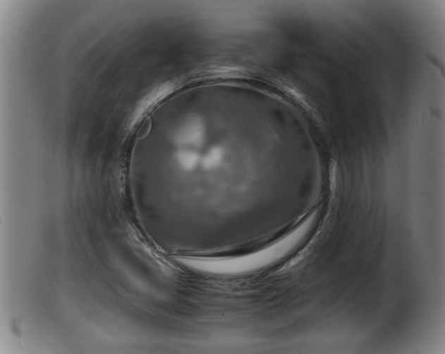 X0000099531405200805231051